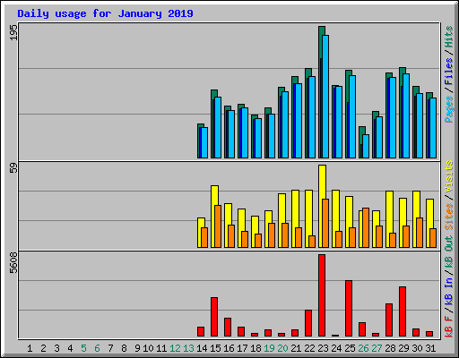 Daily usage for January 2019