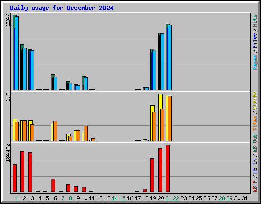 Daily usage for December 2024