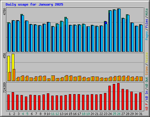 Daily usage for January 2025