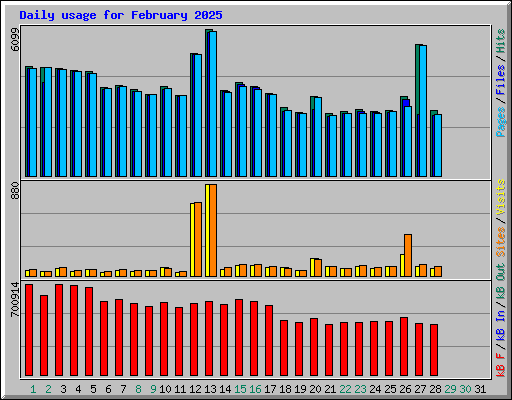 Daily usage for February 2025