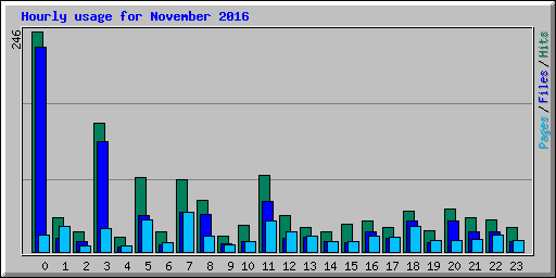 Hourly usage for November 2016