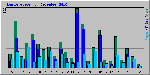 Hourly usage for December 2016