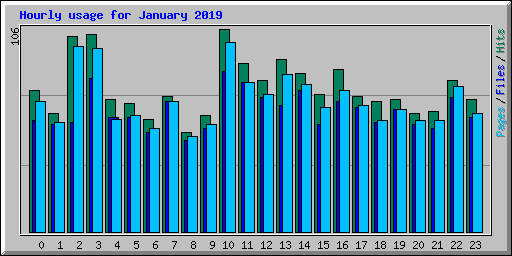 Hourly usage for January 2019