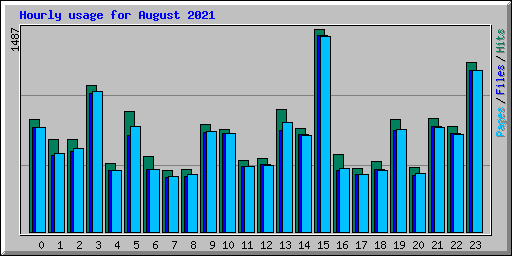 Hourly usage for August 2021