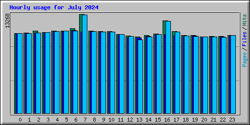 Hourly usage for July 2024