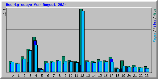 Hourly usage for August 2024