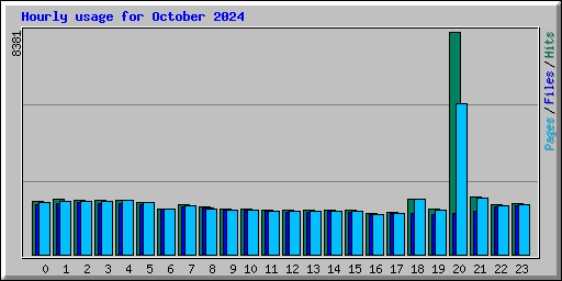 Hourly usage for October 2024