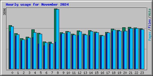 Hourly usage for November 2024