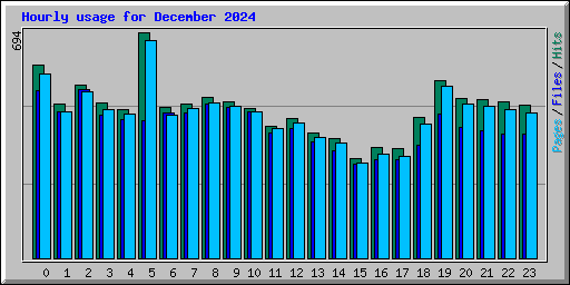 Hourly usage for December 2024