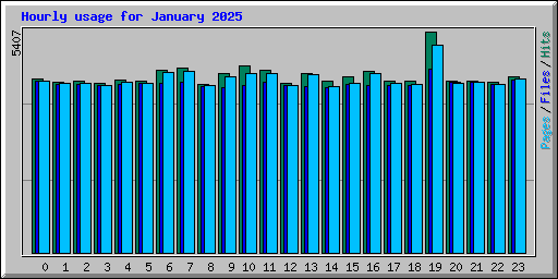 Hourly usage for January 2025