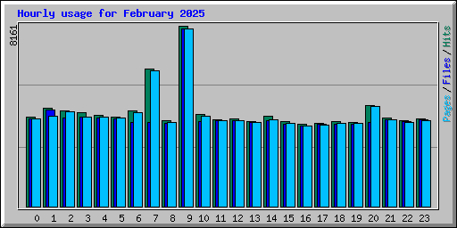 Hourly usage for February 2025