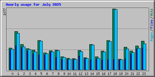 Hourly usage for July 2025