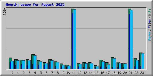 Hourly usage for August 2025