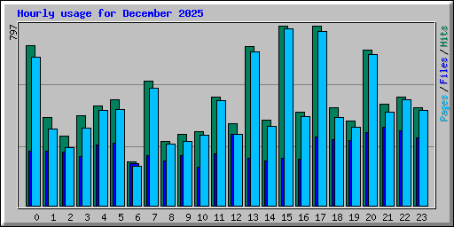 Hourly usage for December 2025