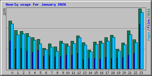 Hourly usage for January 2026