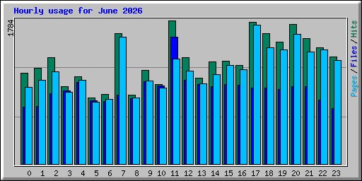 Hourly usage for June 2026